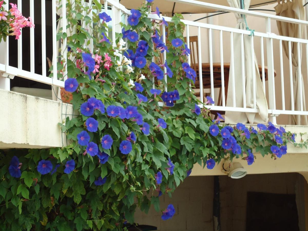 Chambres D'Hotes Du Capimont Hérépian Εξωτερικό φωτογραφία